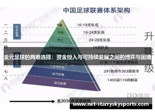 金元足球的两难选择：资金投入与可持续发展之间的博弈与困境