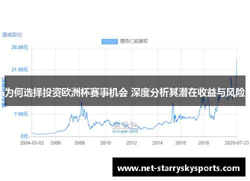 为何选择投资欧洲杯赛事机会 深度分析其潜在收益与风险